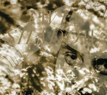 Twin Shadow: Forget, CD