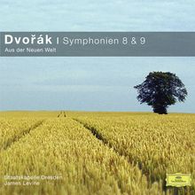 Antonin Dvorak (1841-1904): Symphonien Nr.8 & 9, CD