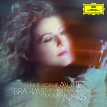 Johannes Brahms (1833-1897): Sonaten für Violine & Klavier Nr. 1-3, CD