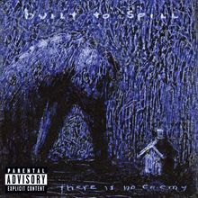 Built To Spill: There Is No Enemy, CD