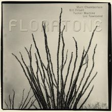 Floratone  (Bill Frisell): Floratone, CD