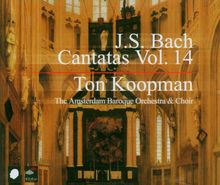 Johann Sebastian Bach (1685-1750): Sämtliche Kantaten Vol. 14 (Koopman), 3 CDs