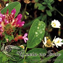 Gueta Na Fonte: Como Agua De Mayo, CD