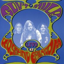 Gov't Mule: Live At Roseland Ballroom, CD