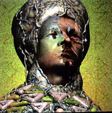 Yeasayer: Odd Blood, LP