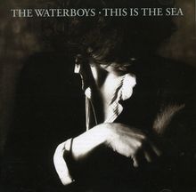 Waterboys: This Is The Sea, 2 CDs