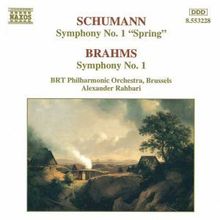 Johannes Brahms (1833-1897): Symphonie Nr.1, CD
