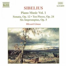 Jean Sibelius (1865-1957): Klavierwerke Vol.1, CD
