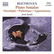  Beethoven, Ludwig van (1770-18: Piano Sonatas, Vol.1, CD