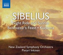 Jean Sibelius (1865-1957): Orchesterwerke, CD