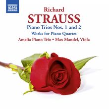 Richard Strauss (1864-1949): Klaviertrios Nr.1 & 2, CD