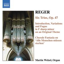 Max Reger (1873-1916): Sämtliche Orgelwerke Vol.6, CD