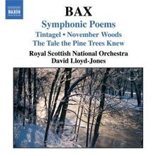 Arnold Bax (1883-1953): Orchesterwerke, CD