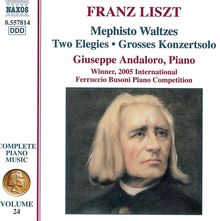 Franz Liszt (1811-1886): Klavierwerke Vol.24, CD