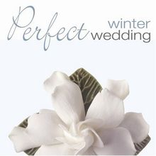 Perfect Winter Wedding, CD