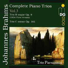 Johannes Brahms (1833-1897): Sämtliche Klaviertrios Vol.3, CD