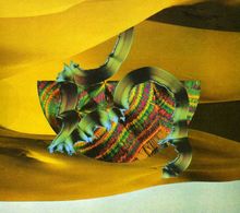 Django Django: Django Django, CD