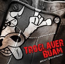 Troglauer Buam: Heavy Volxmusic, CD