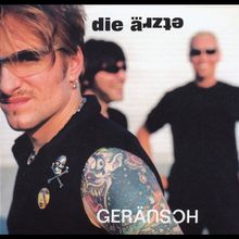 Die Ärzte: Geräusch, 2 CDs