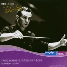 Franz Schmidt (1874-1939): Symphonie Nr. 1, CD