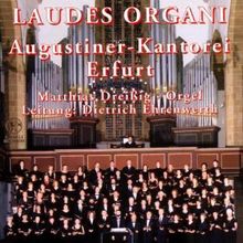 Augustiner-Kantorei Erfurt - Laudes Organi, CD