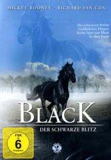 Black, der schwarze Blitz DVD 5, DVD