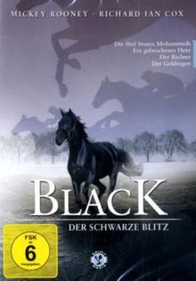 Black, der schwarze Blitz DVD 6, DVD