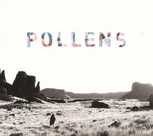 Pollens: Brighten & Break, CD
