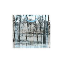 Four Tet: Pink, CD