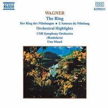 Richard Wagner (1813-1883): Orchesterstücke, CD