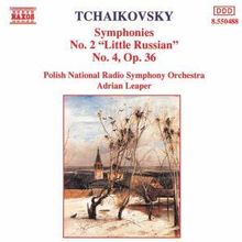 Peter Iljitsch Tschaikowsky (1840-1893): Symphonien Nr.2 & 4, CD