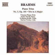 Johannes Brahms (1833-1897): Klaviertrios Nr.3 & 4, CD