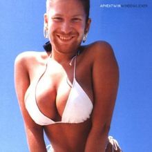 Maxi-CD: Windowlicker, Maxi-CD