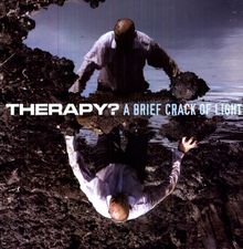 Therapy?: A Brief Crack Of Light, LP
