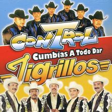 Control & Tigrillos: Cumbias A Todo Dar, CD