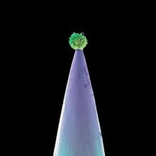 Peter Gabriel: New Blood, CD