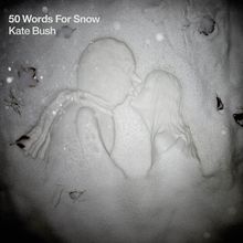 Kate Bush: 50 Words For Snow, CD