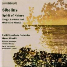 Jean Sibelius (1865-1957): Orchesterwerke, CD
