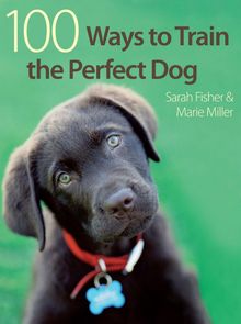 Sarah Fisher: 100 Ways to Train the Perfect Dog, Buch
