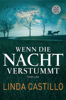Linda Castillo: Wenn die Nacht verstummt, Buch