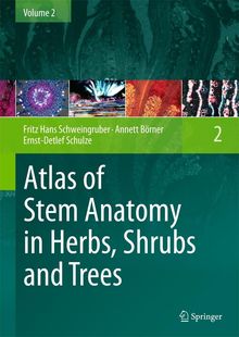 Fritz Hans Schweingruber: Atlas of Stem Anatomy in Herbs, Shrubs and Trees, Buch