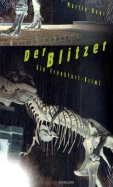 Martin Beer: Der Blitzer, Buch