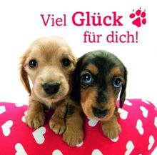 Hanadeka Geschenkbuch 01. Viel Glück für dch, Buch