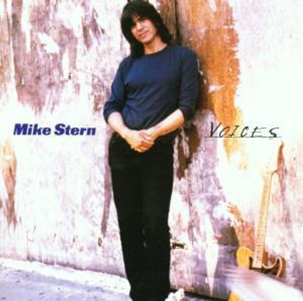 MIKE STERN - Voices