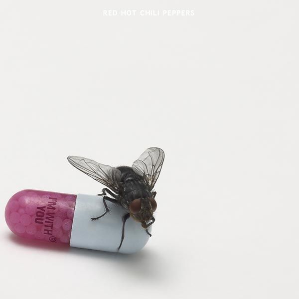 RED HOT CHILI PEPPERS - I'm With You