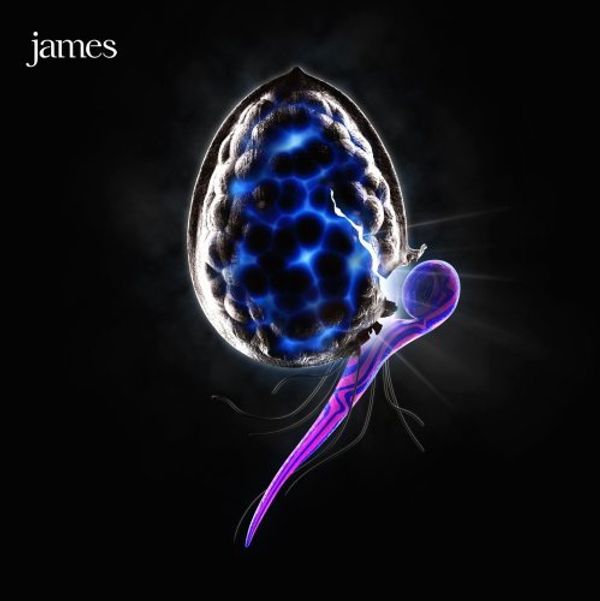 The Night Before - JAMES