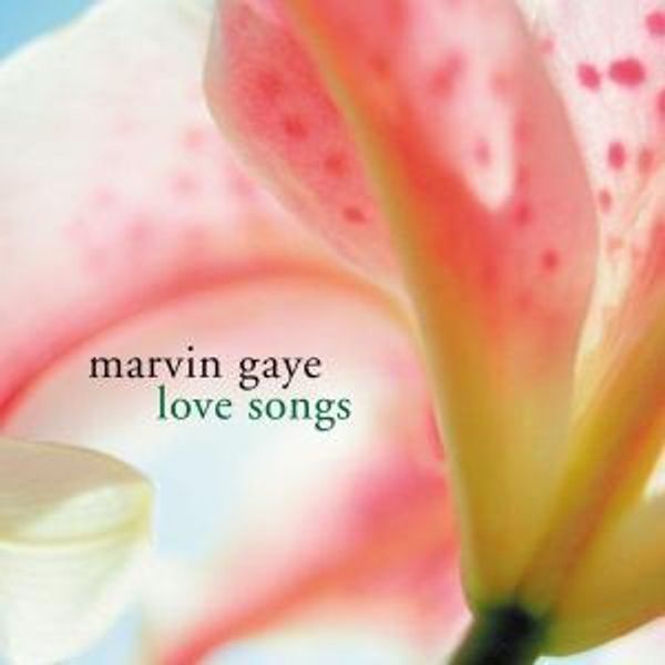 MARVIN GAYE/LOVE SONGS CD - Love Songs Cd