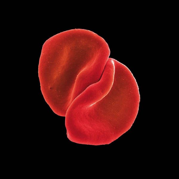 PETER GABRIEL - Scratch My Back (super Jewel Case)
