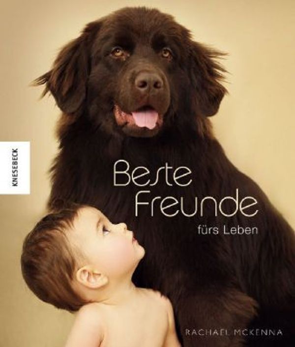 Beste Spielothek in Buch finden Beste Spielothek in Buch finden