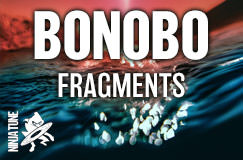 Bonobo (Simon Green): Fragments (Black Vinyl)